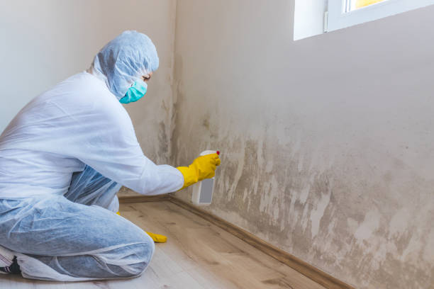 Licensed Commercial Mold Remediation service in Auburn, MI - WQB Mold Removal