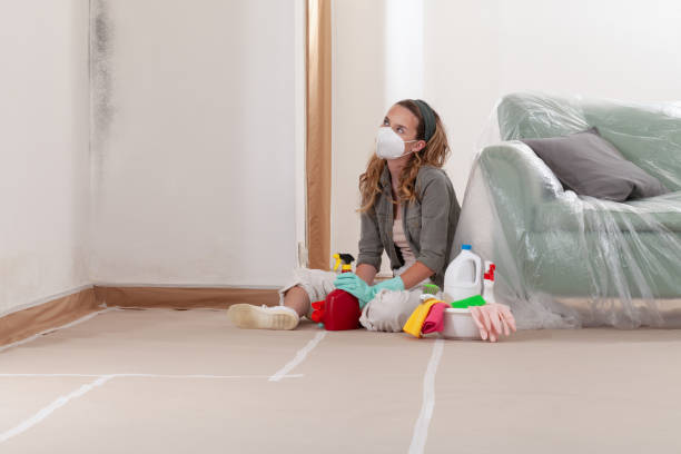 Reliable Commercial Mold Remediation contractor in Auburn, MI by WQB Mold Removal